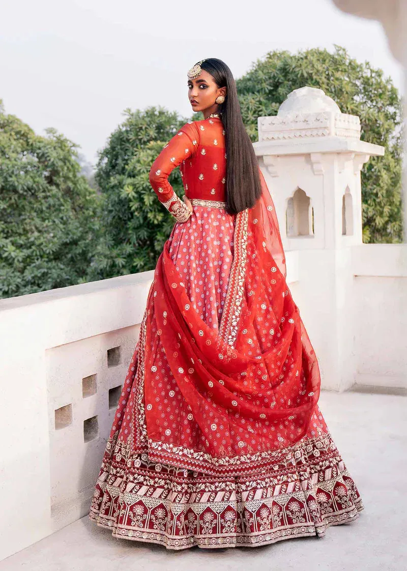 Akbar Aslam | Darbar Festive Formals | Afreen