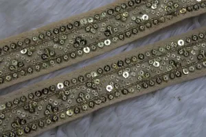 Beige Designer Sequins Work Embroidered Border