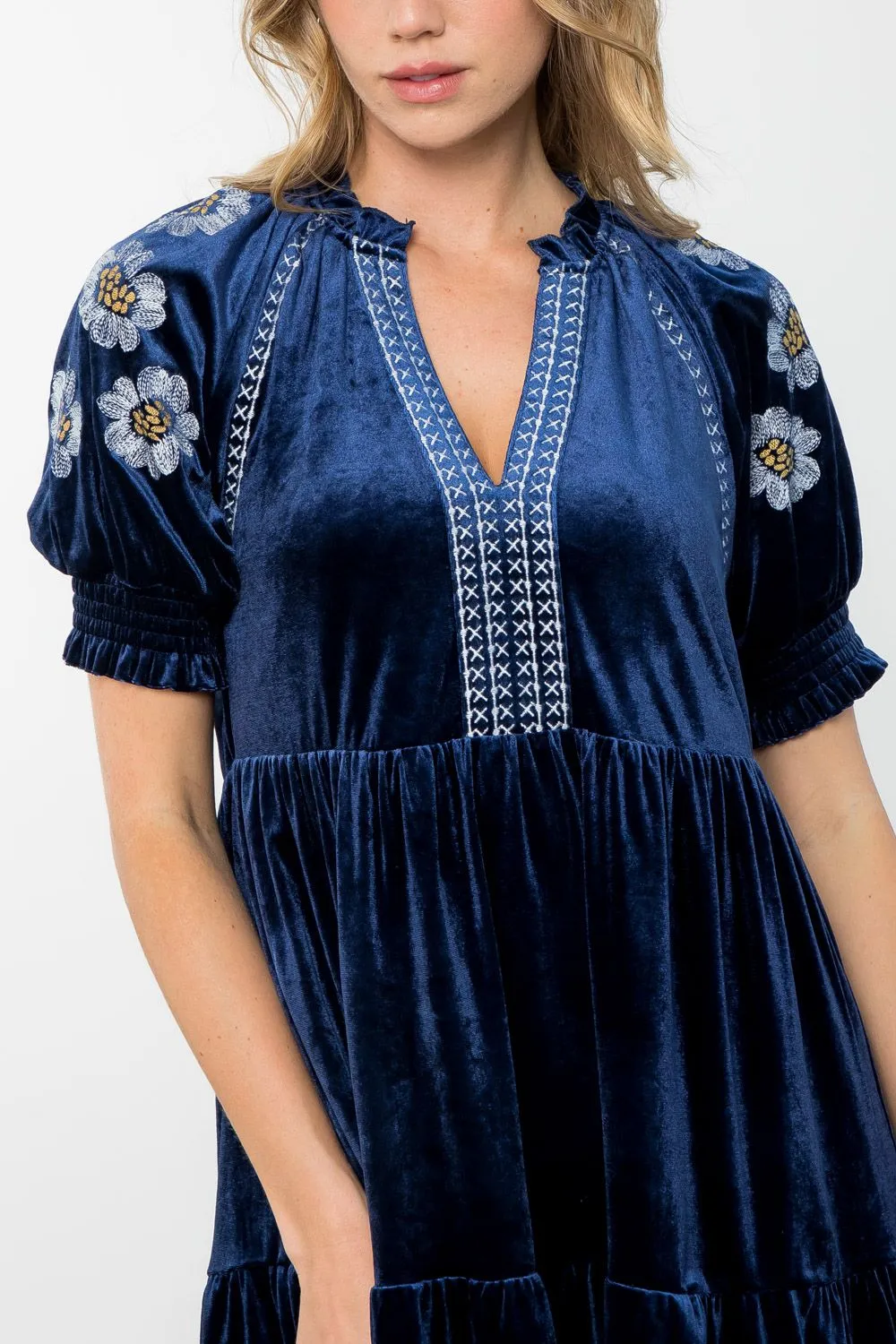 Cobalt Embroidered Velvet Dress-THML