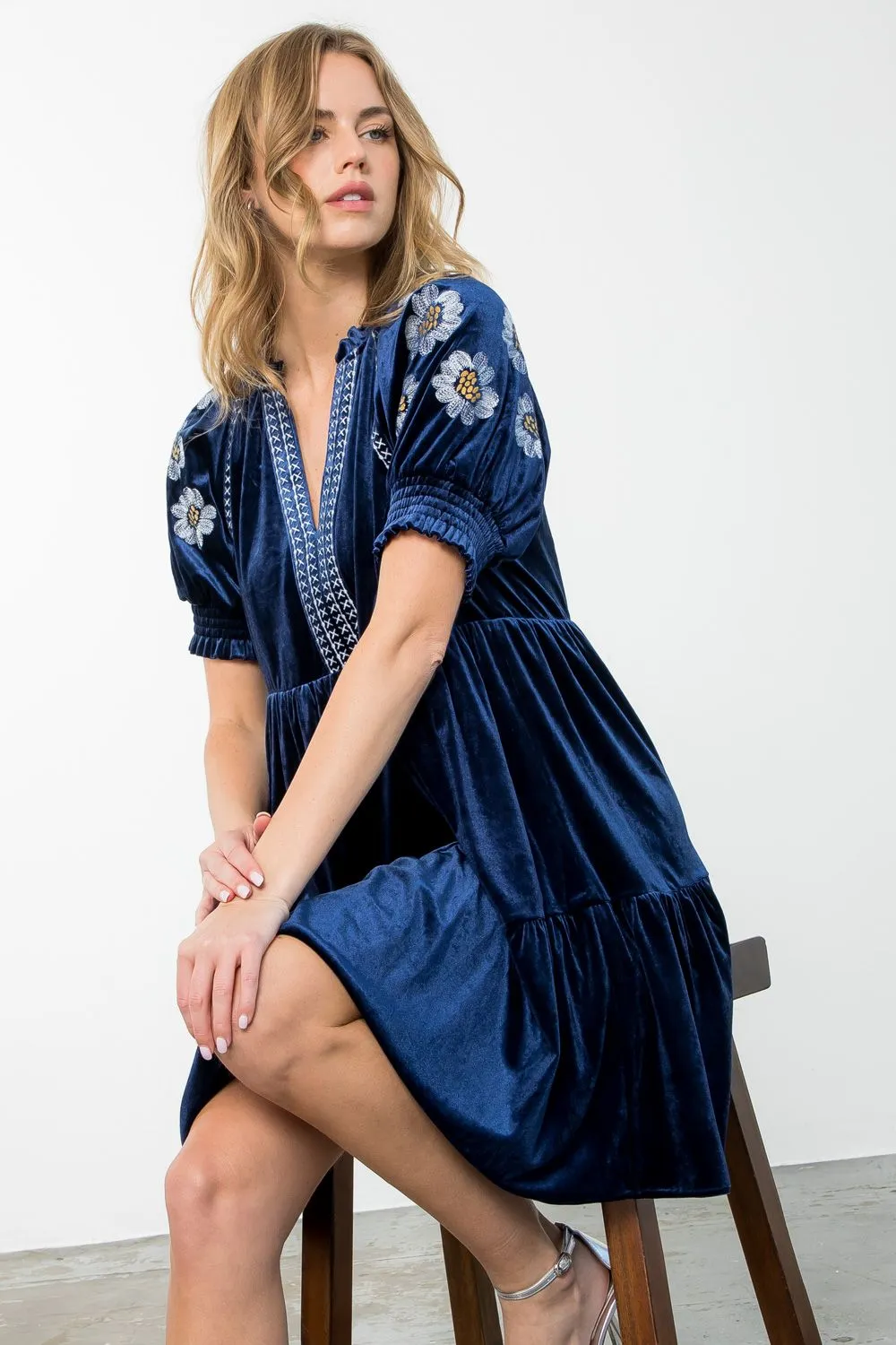 Cobalt Embroidered Velvet Dress-THML