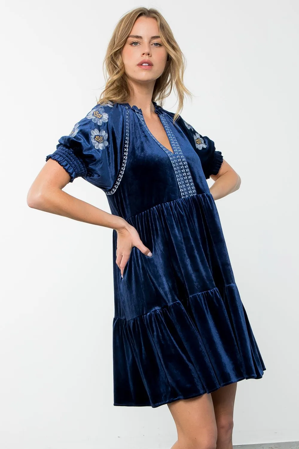 Cobalt Embroidered Velvet Dress-THML
