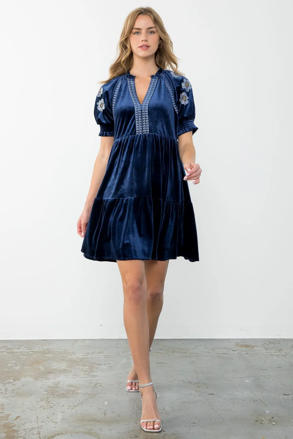 Cobalt Embroidered Velvet Dress-THML