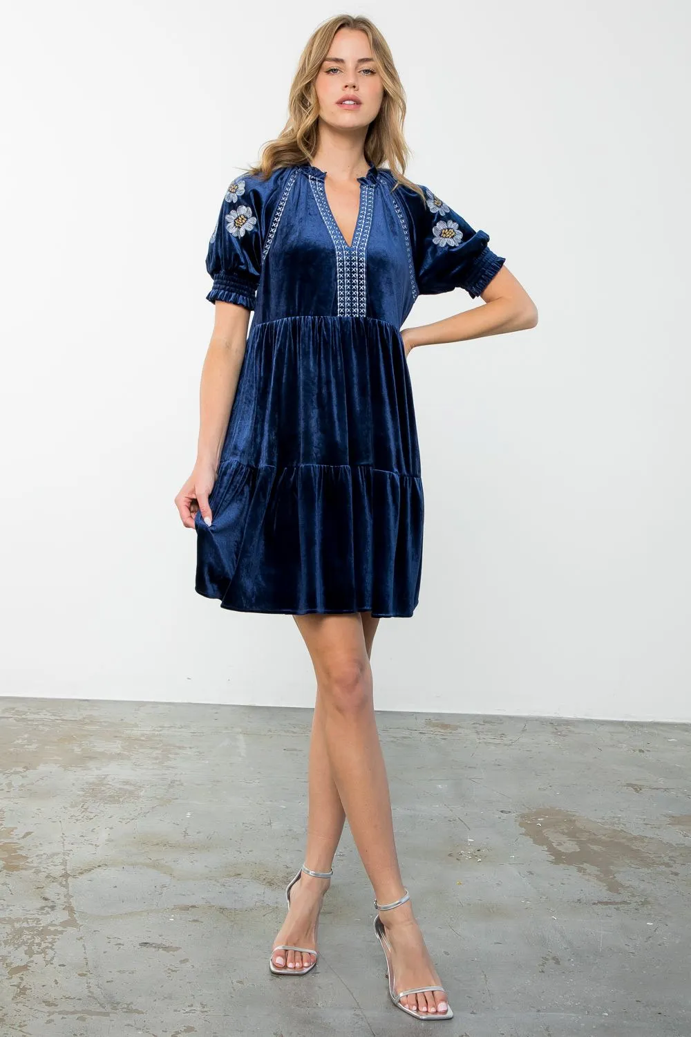 Cobalt Embroidered Velvet Dress-THML