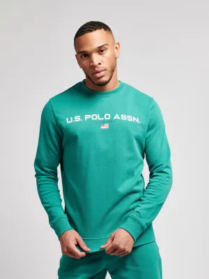 Mens Block Flag Graphic Crew Neck Sweatshirt in Ivy