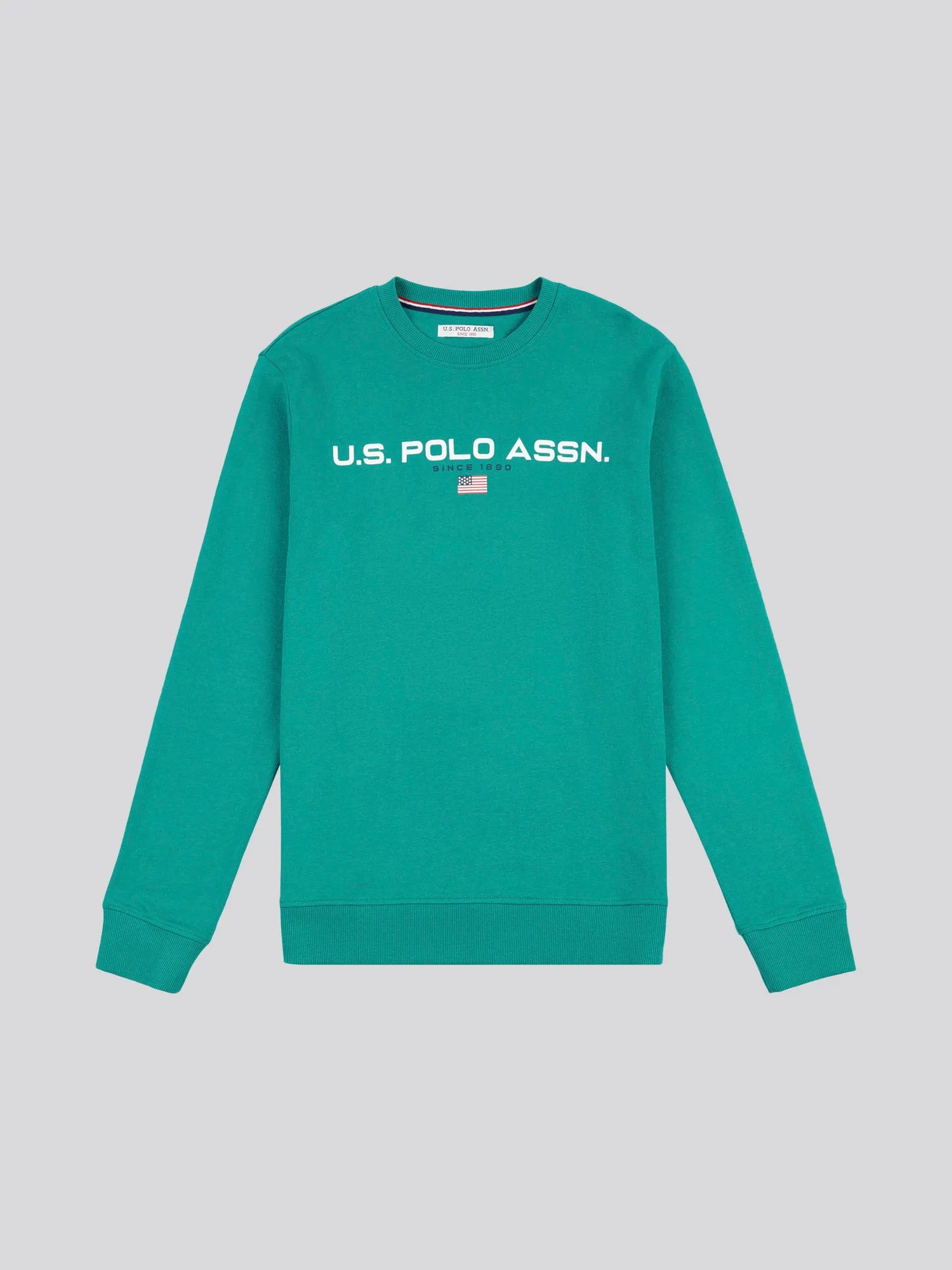 Mens Block Flag Graphic Crew Neck Sweatshirt in Ivy