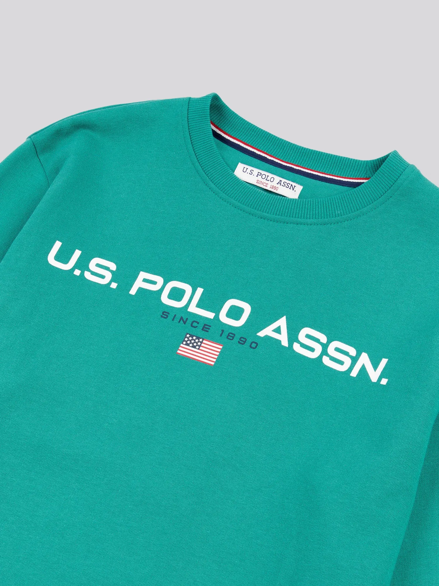 Mens Block Flag Graphic Crew Neck Sweatshirt in Ivy