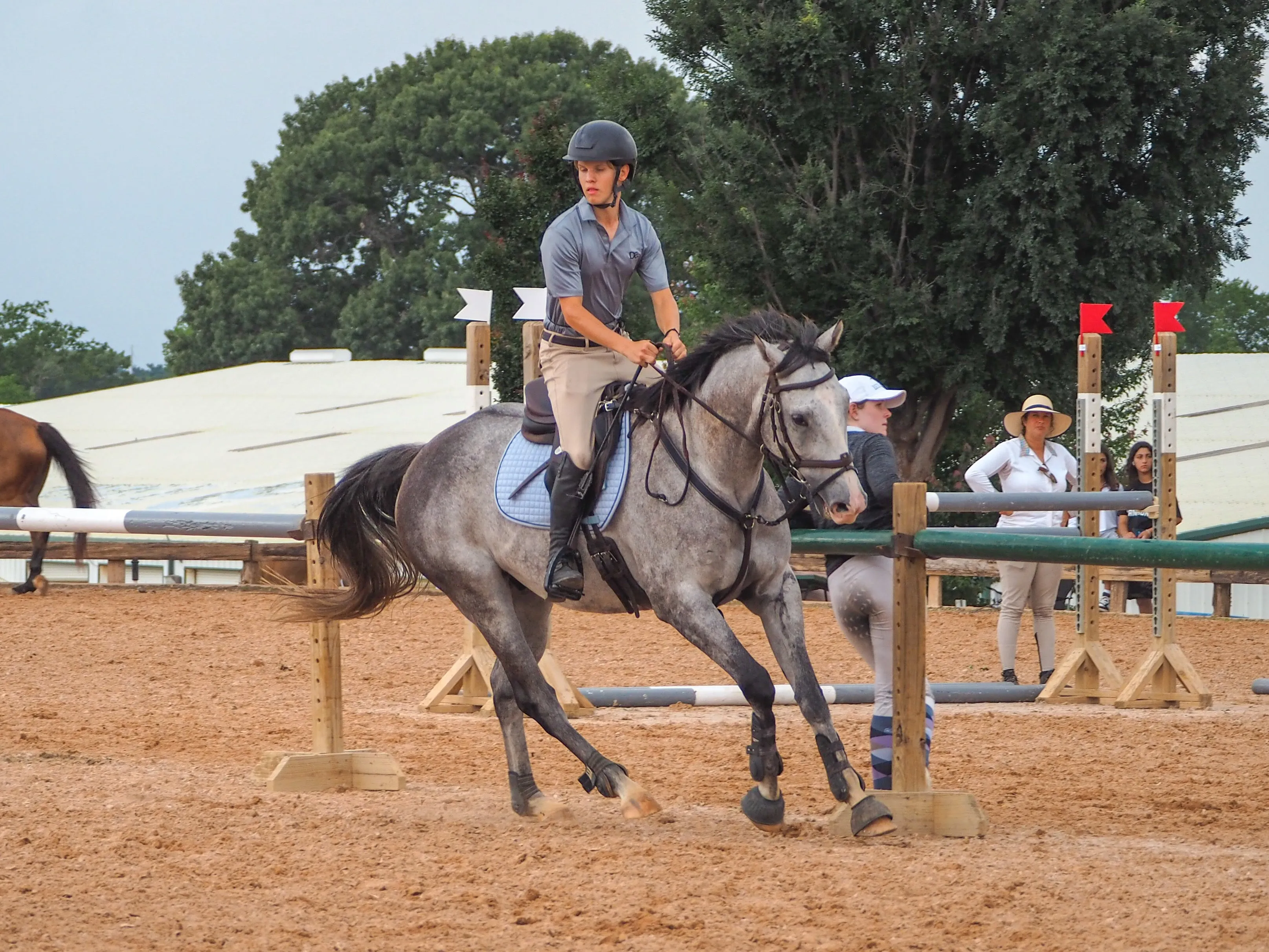 Men’s Polo - Gray