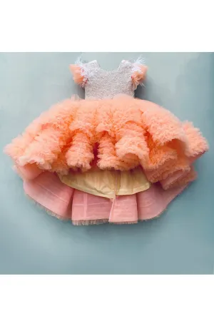 Peach Pearl Embroidered High Low Gown