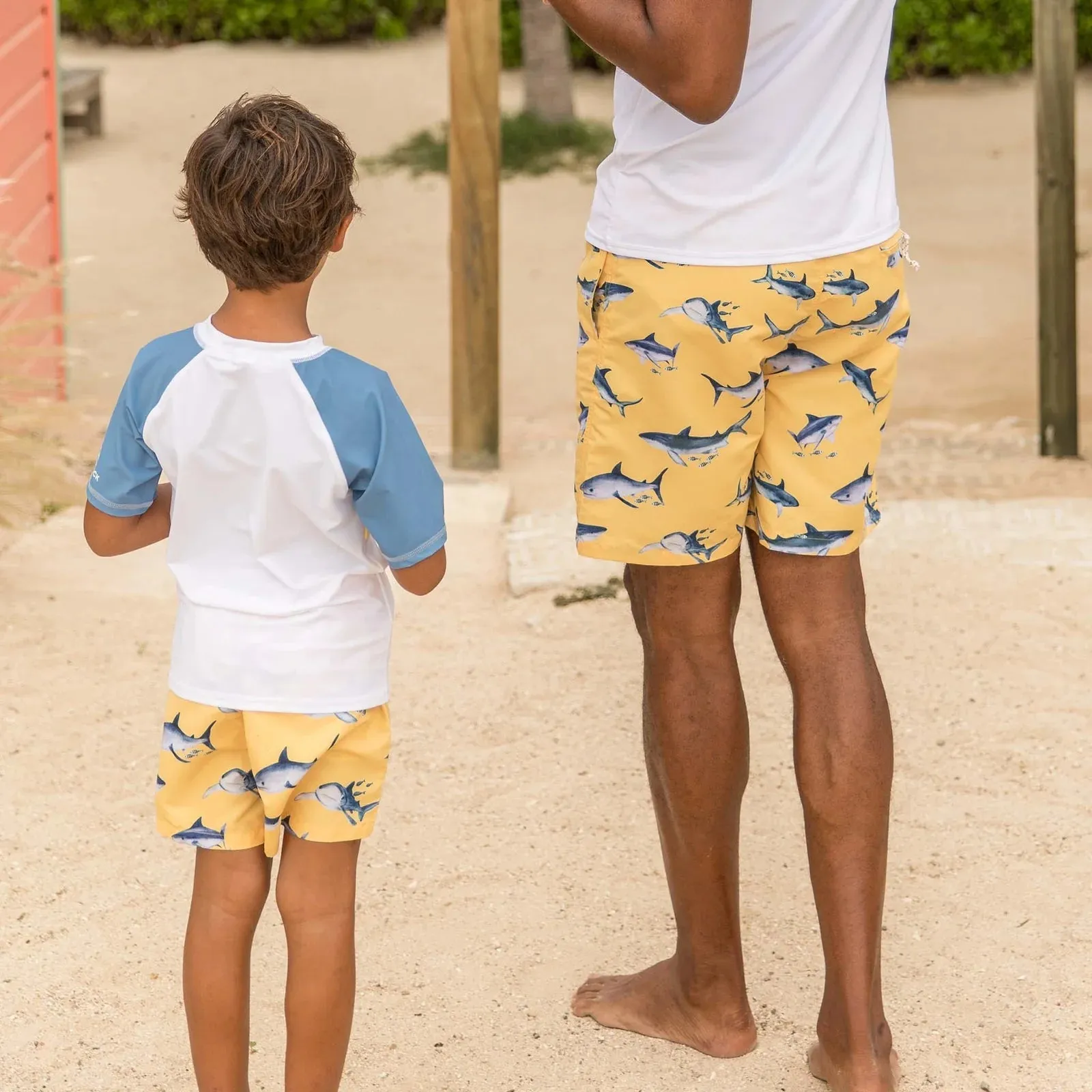 Snapper Rock Sunrise Stripe SS Rash Top
